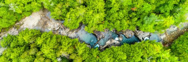 Warren Falls by Luka Mester Warren Falls by Luka Mester